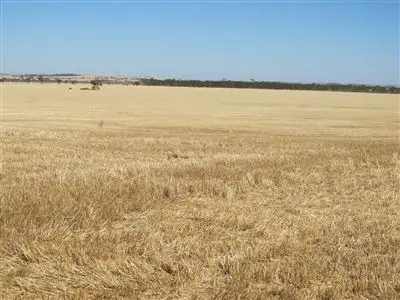 Fifth view of Homely rural property listing, Address available on request