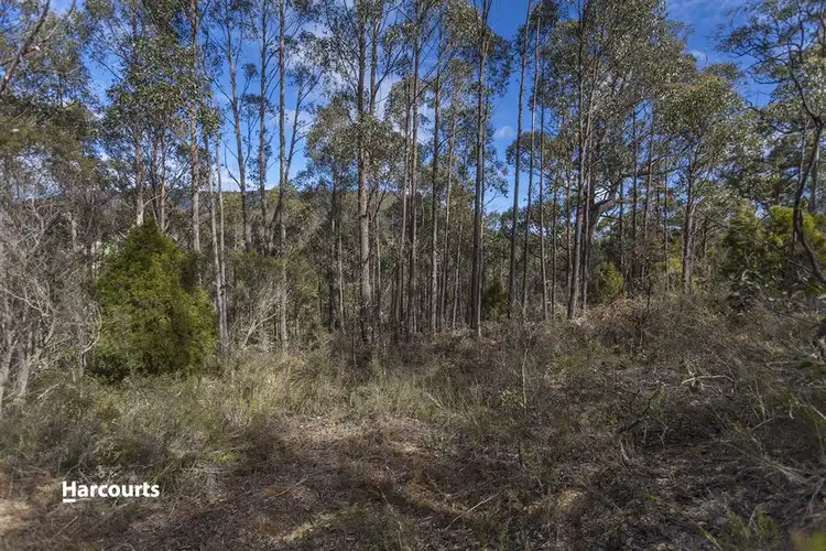 Sixth view of Homely land listing, Lot 4 North Huon Road, Judbury TAS 7109