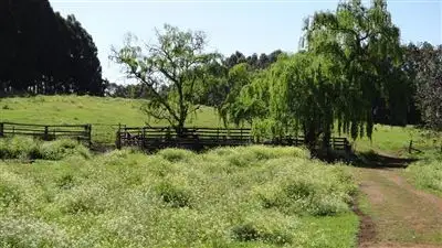 Third view of Homely rural property listing, 652 Brookhampton Road, Brookhampton WA 6239