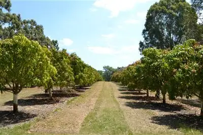 Fifth view of Homely house listing, 188 Bookine Road, Neergabby WA 6503