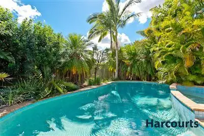 Fifth view of Homely rural property listing, 13 Chardonnay Court, Morayfield QLD 4506