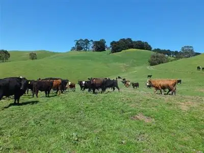 Main view of Homely rural property listing, 2145 Grand Ridge Road, Hallston VIC 3953