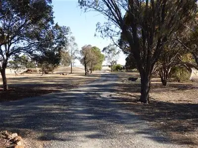 Fourth view of Homely house listing, 1133 Wimmera Hwy, Horsham VIC 3400