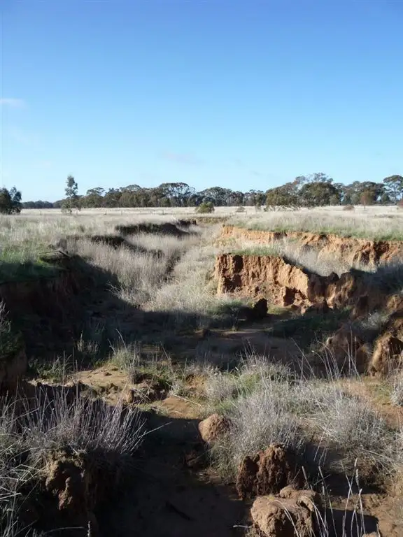 Fifth view of Homely rural property listing, 0 Wardle Road, St Arnaud VIC 3478