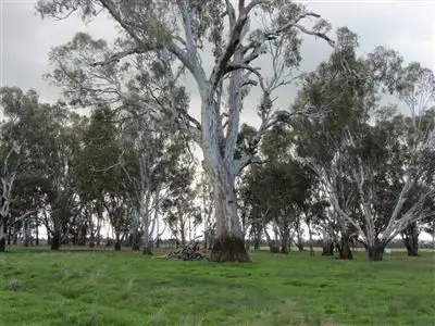 Fourth view of Homely rural property listing, 613 Pranjip Road, Euroa VIC 3666