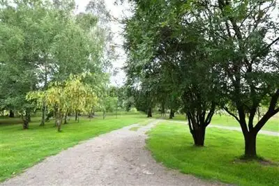 Sixth view of Homely house listing, 685 Cheshunt Road, Western Creek TAS 7304