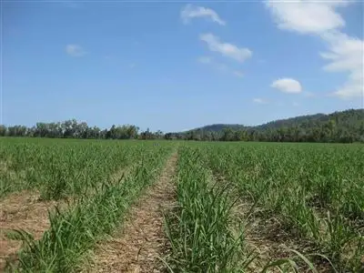 Main view of Homely rural property listing, 0 Bilyana Road, Bilyana QLD 4854