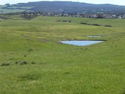 Fourth view of Homely rural property listing, 271 Haunted Hills Road, Newborough VIC 3825