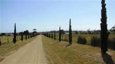 Fifth view of Homely rural property listing, 22464 Tasman Highway, Falmouth TAS 7215