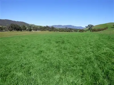 Fourth view of Homely rural property listing, 207 Boatmans Road,, Glenlofty VIC 3469