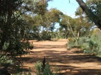 Second view of Homely rural property listing, Sec.561 Sturt Highway, Monash SA 5342