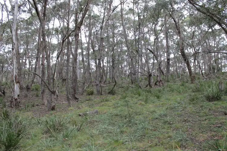 Fifth view of Homely rural property listing, Lot 2 McRaes Road, Braidwood NSW 2622