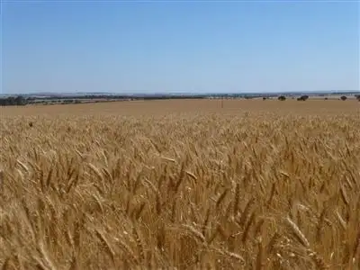 Second view of Homely rural property listing, Address available on request