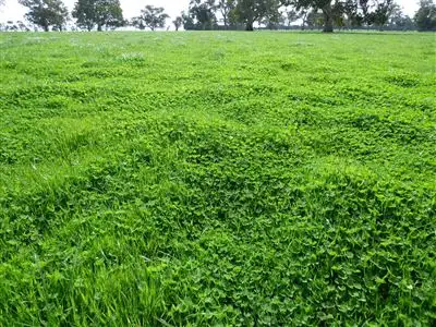 Sixth view of Homely rural property listing, 359 Noss Retreat Road, Casterton VIC 3311