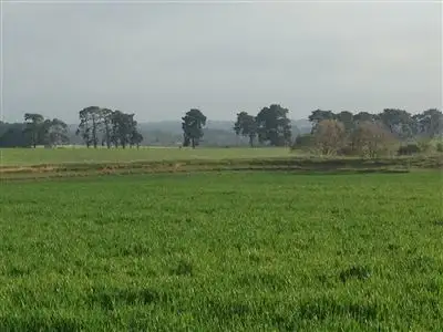 Second view of Homely rural property listing, 161B Curlewis Road, Wallington VIC 3222