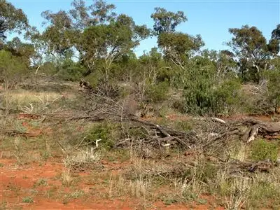 Third view of Homely rural property listing, " Nidgery Downs", Nyngan NSW 2825