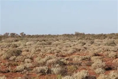 Seventh view of Homely rural property listing, " Ingomar Station", Coober Pedy SA 5723