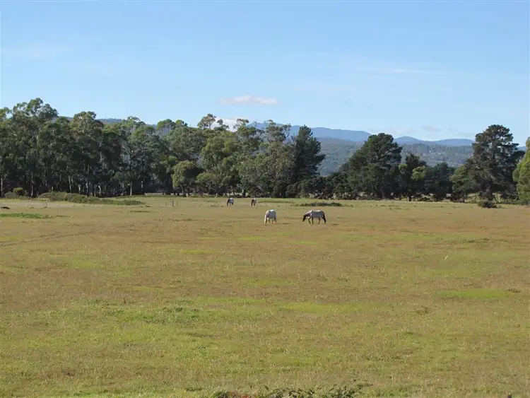 Sixth view of Homely land listing, 520 Gravelly Beach Road, Gravelly Beach TAS 7276