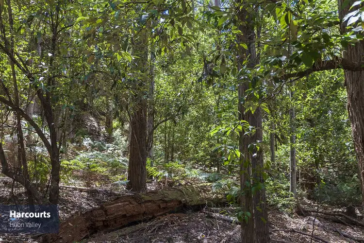 Fifth view of Homely land listing, RA Fyfes Road, Mountain River TAS 7109
