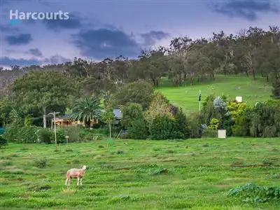 Seventh view of Homely house listing, 1264 Chittering Road, Bullsbrook WA 6084