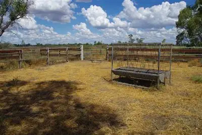 Fifth view of Homely rural property listing, 28525 Kamilaroi Highway, Burren Junction NSW 2386