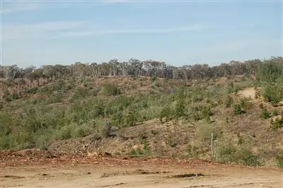 Sixth view of Homely rural property listing, Somerset Pines, Bobs Creek Rd, Carabost, Wagga Wagga NSW 2650