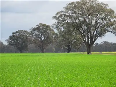 Fourth view of Homely rural property listing, 18 Lewis Road, Miepoll VIC 3666