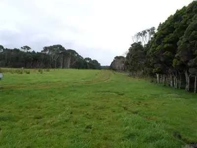 Third view of Homely rural property listing, 423 Millers Road, Lymwood TAS 7256