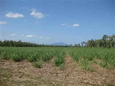 Fourth view of Homely rural property listing, 0 Bilyana Road, Bilyana QLD 4854