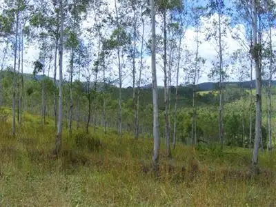 Seventh view of Homely rural property listing, Rosehill/. Old School Road, Busbys Flat via, Casino NSW 2470