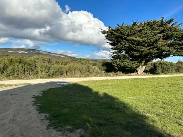 Main view of Homely rural property listing, PID 6431469 Thunder & Lightning Road, Cape Barren Island TAS 7257