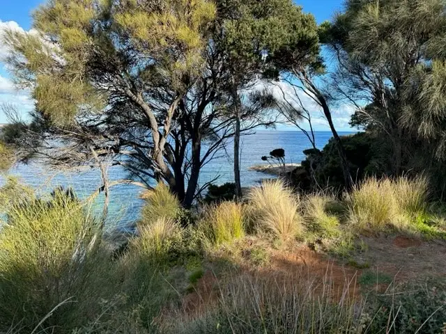 Fifth view of Homely rural property listing, PID 6431469 Thunder & Lightning Road, Cape Barren Island TAS 7257