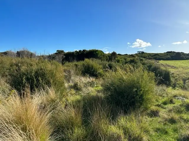 Seventh view of Homely rural property listing, PID 6431469 Thunder & Lightning Road, Cape Barren Island TAS 7257
