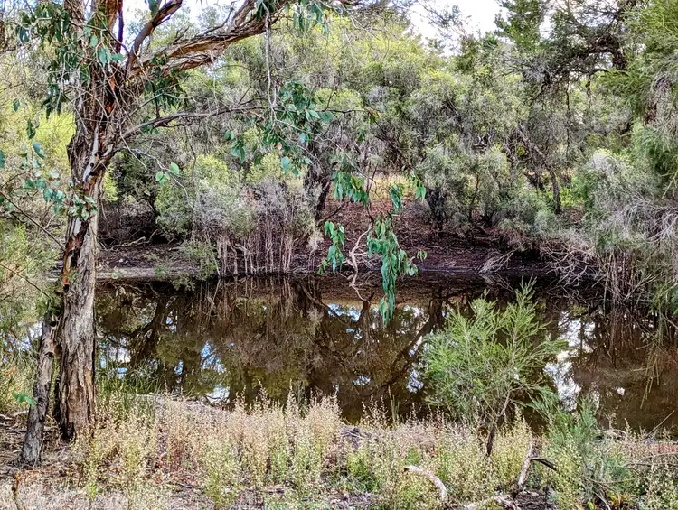 Third view of Homely rural property listing, Lot 2321 Bennies Road, Cowalla WA 6503