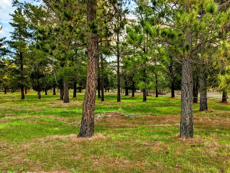 Fourth view of Homely rural property listing, Lot 2321 Bennies Road, Cowalla WA 6503