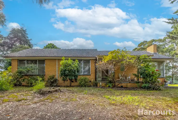 Sixth view of Homely rural property listing, 295 Purvis Road, Tanjil South VIC 3825