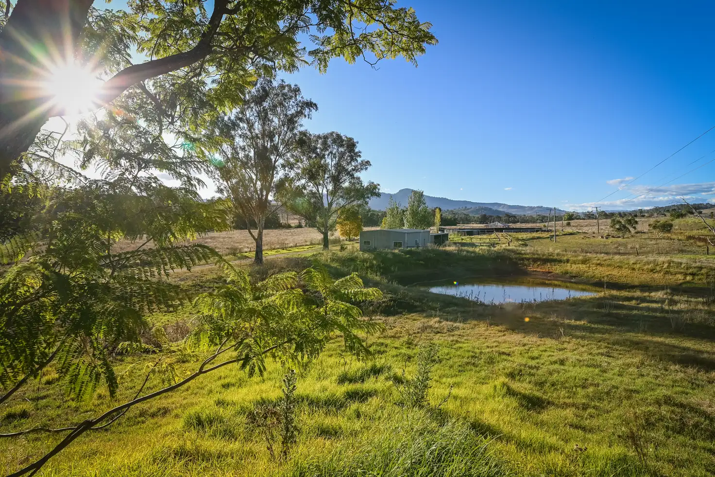 Main view of Homely rural property listing, 4213 New England Hwy, Wingen NSW 2337