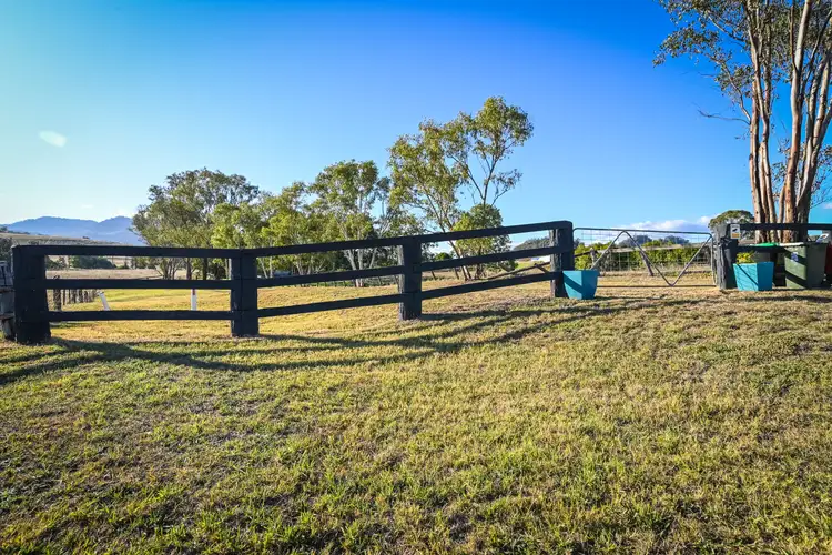 Second view of Homely rural property listing, 4213 New England Hwy, Wingen NSW 2337