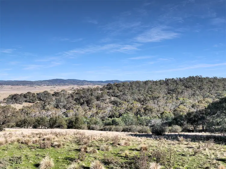 Third view of Homely rural property listing, Lot 42 & 46 Tombong Road, Tombong NSW 2633