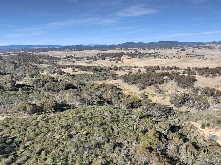 Sixth view of Homely rural property listing, Lot 42 & 46 Tombong Road, Tombong NSW 2633