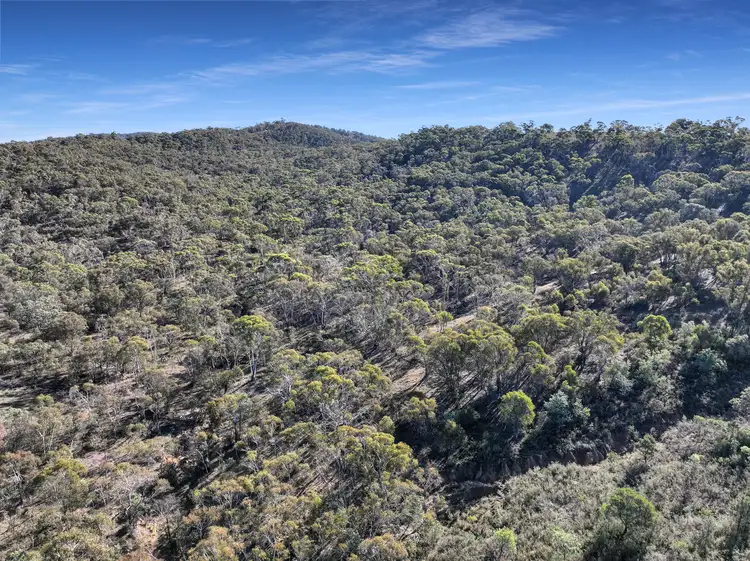 Seventh view of Homely rural property listing, Lot 42 & 46 Tombong Road, Tombong NSW 2633