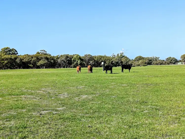 Third view of Homely rural property listing, 897 Brand Highway, Muchea WA 6501