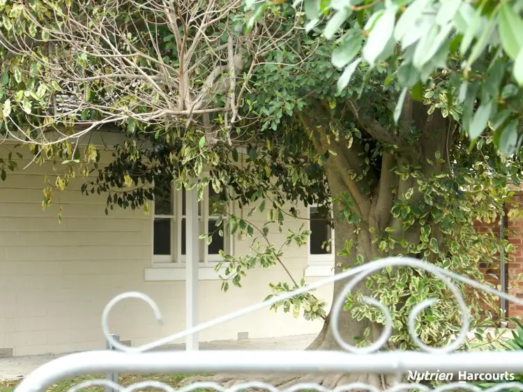 21 De Boos Street, Euroa VIC 3666