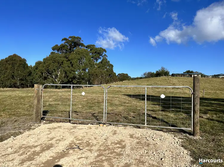 Fourth view of Homely land listing, 277 Medeas Cove Road, St Helens TAS 7216