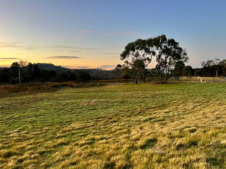 Sixth view of Homely land listing, 277 Medeas Cove Road, St Helens TAS 7216
