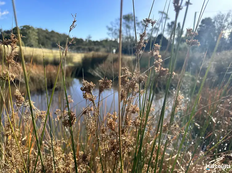 Seventh view of Homely land listing, 277 Medeas Cove Road, St Helens TAS 7216