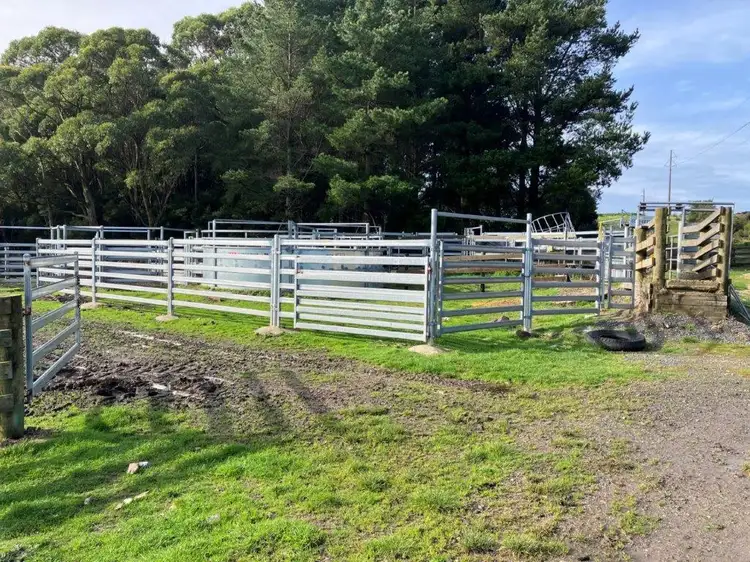 Seventh view of Homely rural property listing, 2232 Harcus River Road, West Montagu TAS 7330