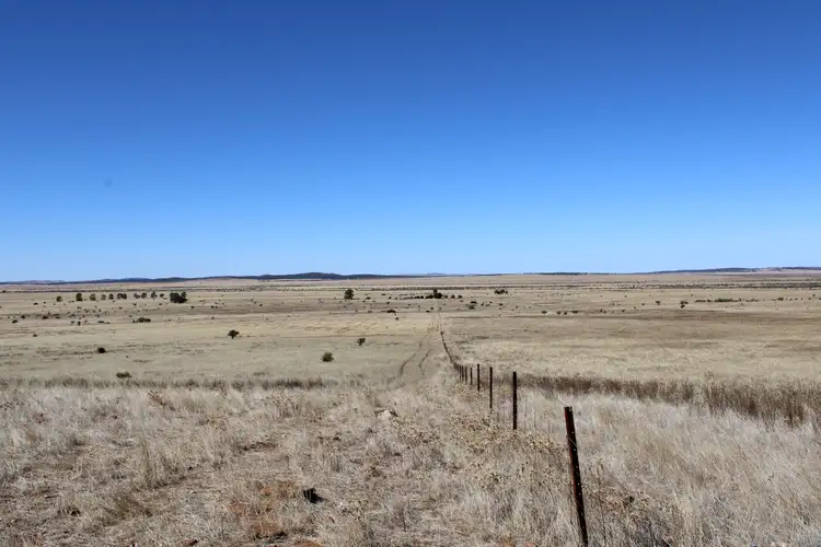 Fourth view of Homely rural property listing, 1860 Cleary Road, Terowie SA 5421