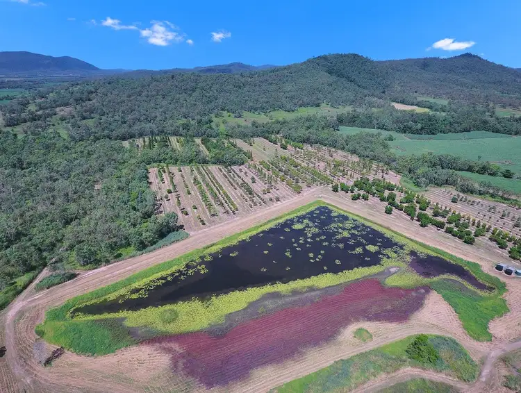 1603 Geeberga Buthurra Road, Mount Ossa QLD 4741