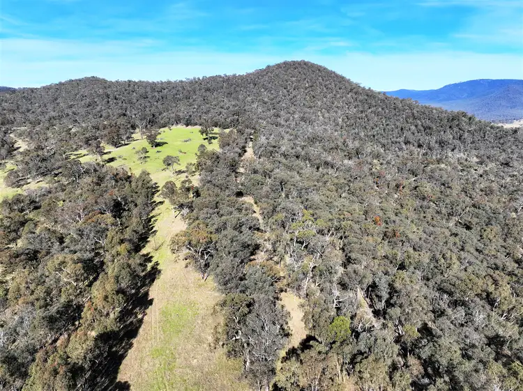 Fourth view of Homely rural property listing, 2574 McKillops Road, Tubbut VIC 3888